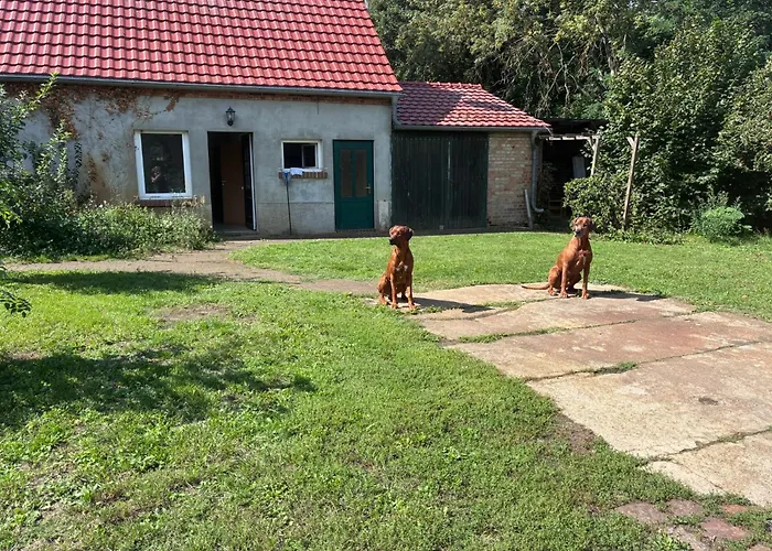 Alte Schule Rietz Treuenbrietzen